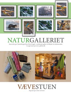 Naturgalleriet, billeder, galleri, naturbilleder, fugle, dyr, natur.