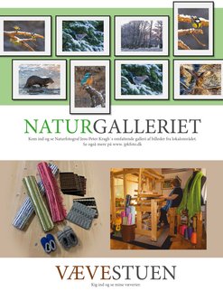 Naturgalleriet, billeder, galleri, naturbilleder, fugle, dyr, natur.